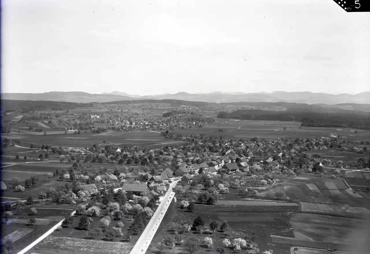 Hegnau from the air in April 1946: a farming village among orchards and fields