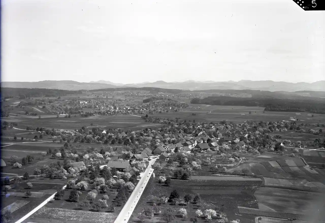 Hegnau aus der Luft im April 1946: ein Bauerndorf zwischen Obstgärten